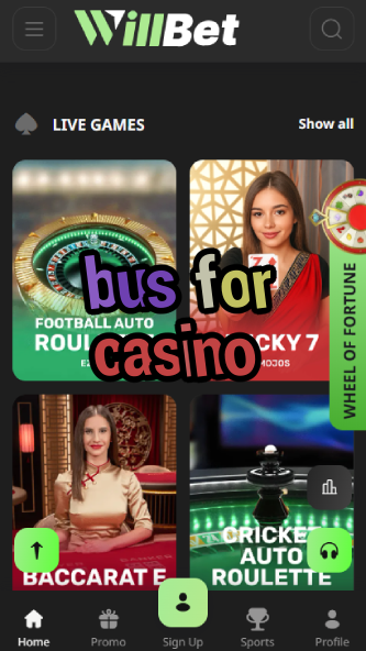 Bus for Casino - Casino Shuttle Service-www.bdqngd.com