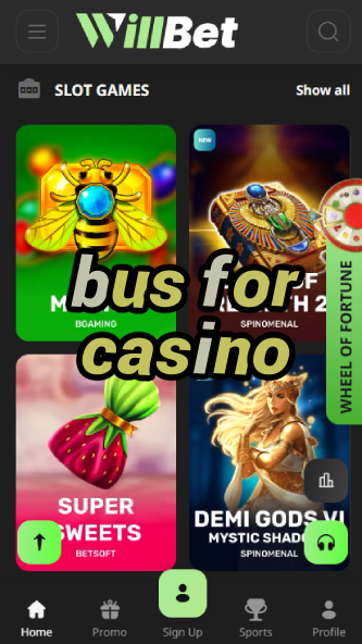Bus for Casino - Casino Shuttle Service-www.bdqngd.com